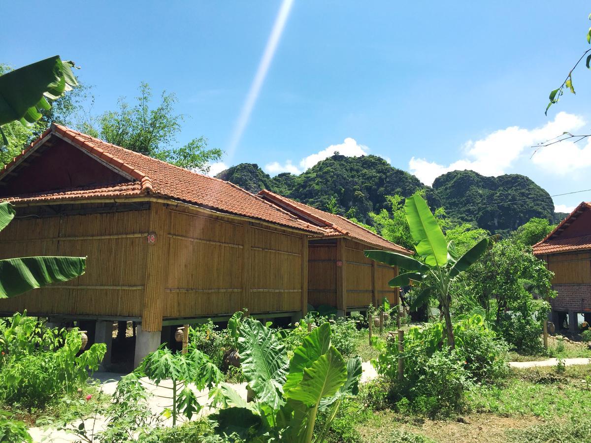 Hàm Rồng Homestay Ninh Bình Exterior foto