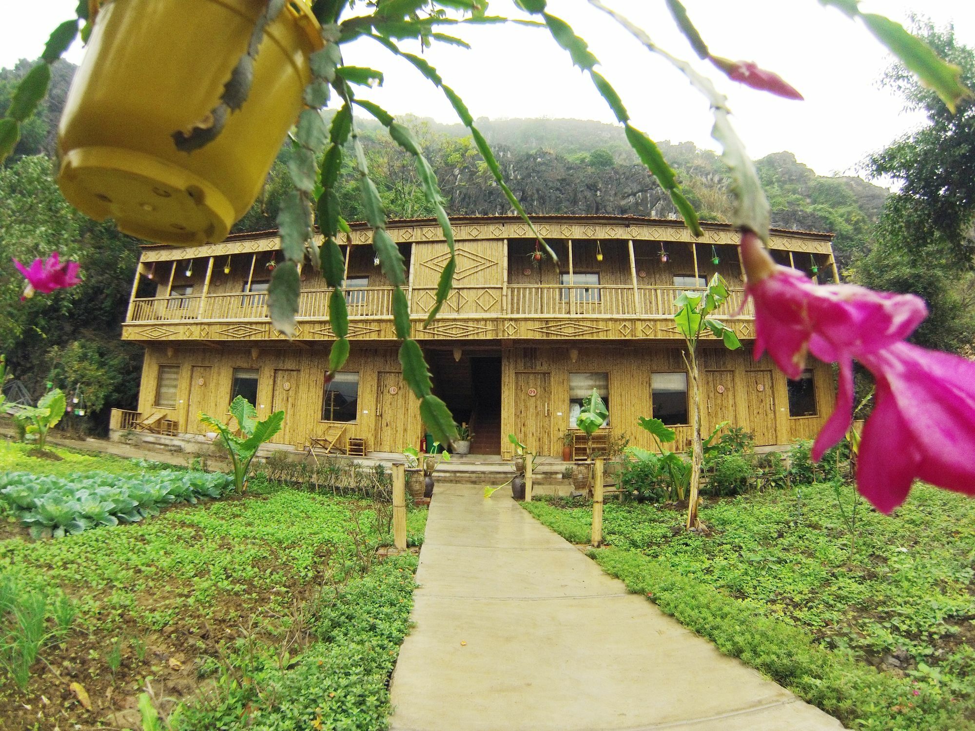 Hàm Rồng Homestay Ninh Bình Exterior foto