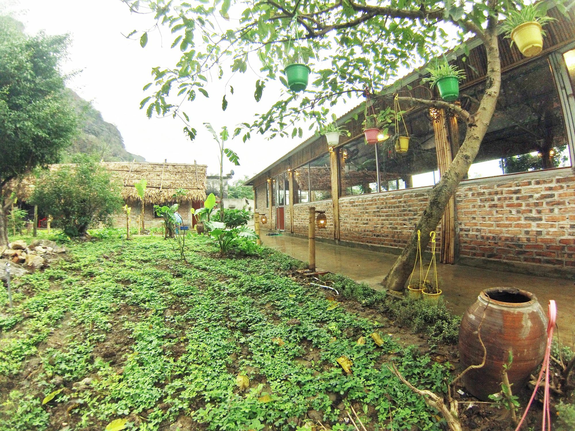 Hàm Rồng Homestay Ninh Bình Exterior foto